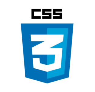 css3 logo